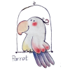 I love my Pet PARROT