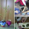 Seme, fiore e frutto