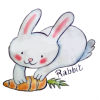 I love my Pet RABBIT