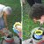 Seme, fiore e frutto